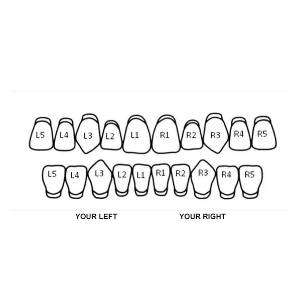 Multicolor Iced Gap Filler Grillz